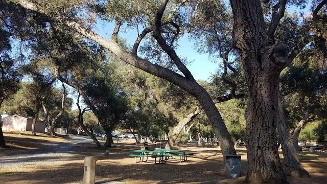 Fallbrook Live Oak Park